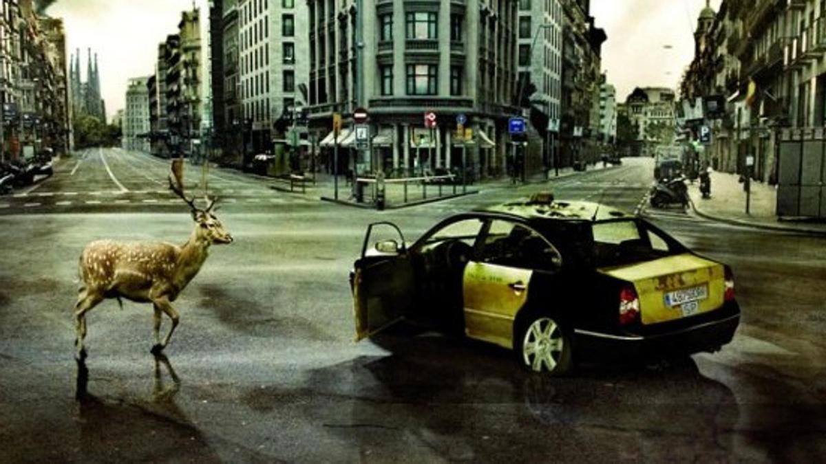 La Barcelona sin turistas de 'Los últimos días'