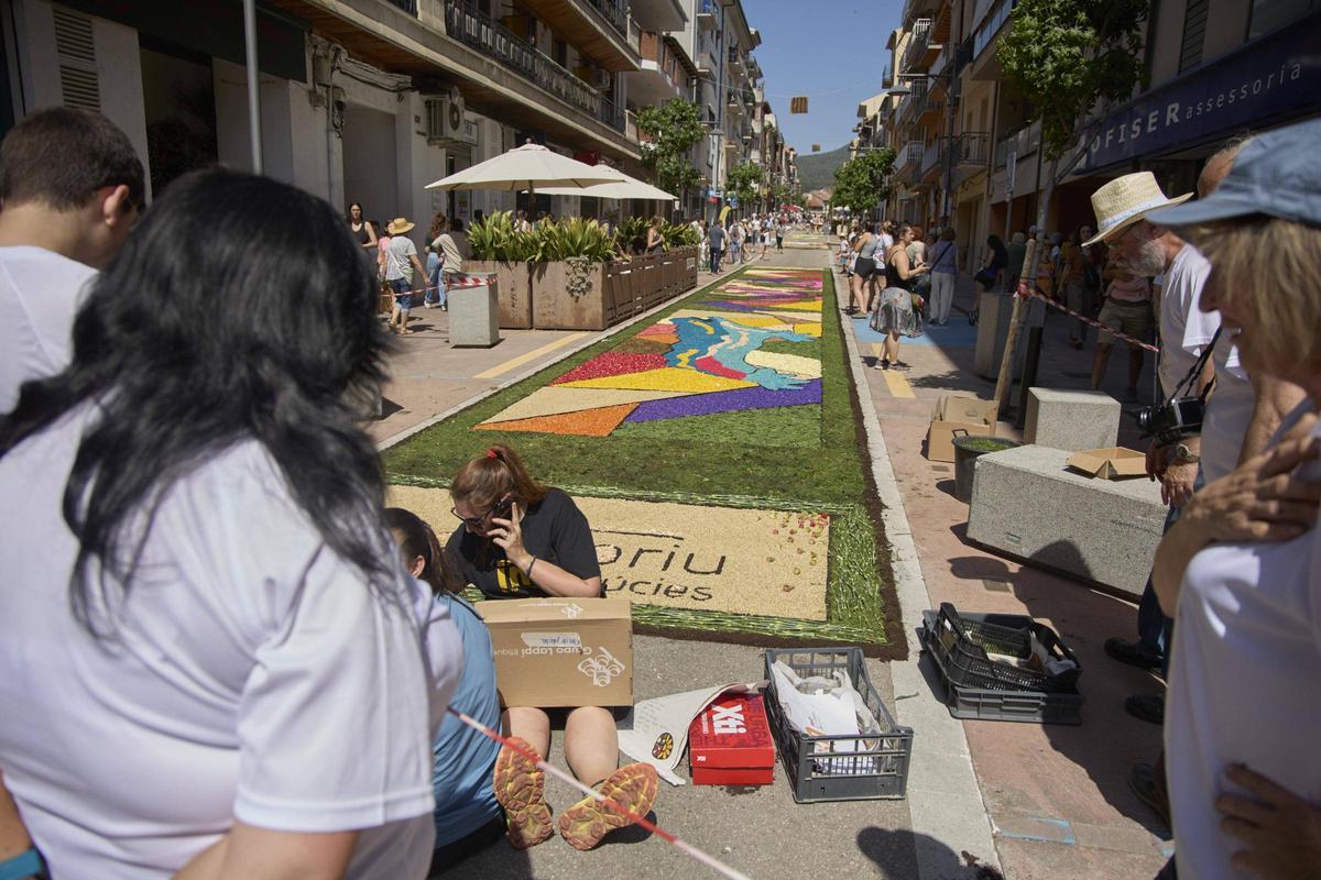 Les catifes d'Arbúcies en imatges