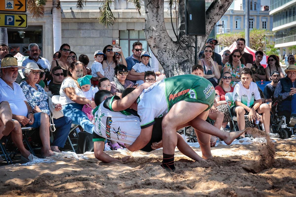Santa Cruz vive el Día de Canarias por todo lo alto