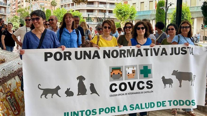 Veterinarios y propietarios de perros y gatos vuelven a protestar en Castellón contra la regulación el medicamento