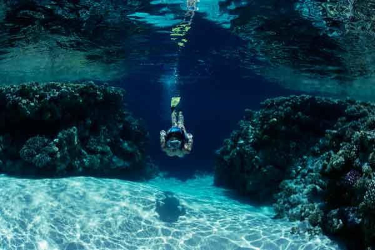 Arrecofes de coral en el Mar Rojo, en Egipto.