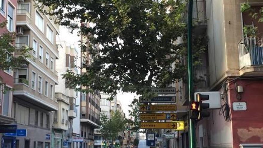Un árbol de la calle Conrado del Campo tapando carteles.