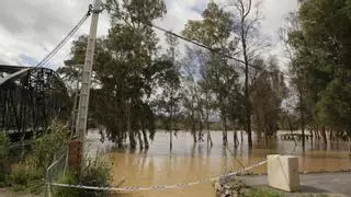 Temporal en Málaga: el río Guadalhorce se desborda tras superar su máximo histórico