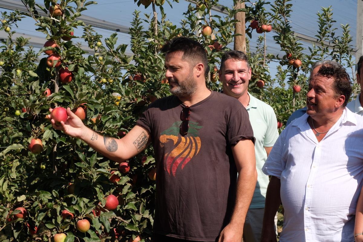 Miquel Abras recol·lectant la primera poma de Poma de Girona