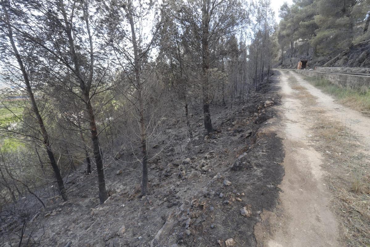 El incendio arrasa la urbanización Monte Corona de Ador