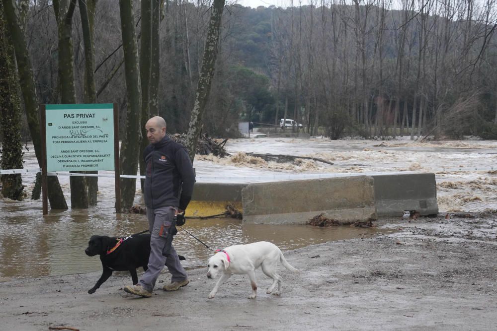 El riu Ter, al seu pas per Bescanó