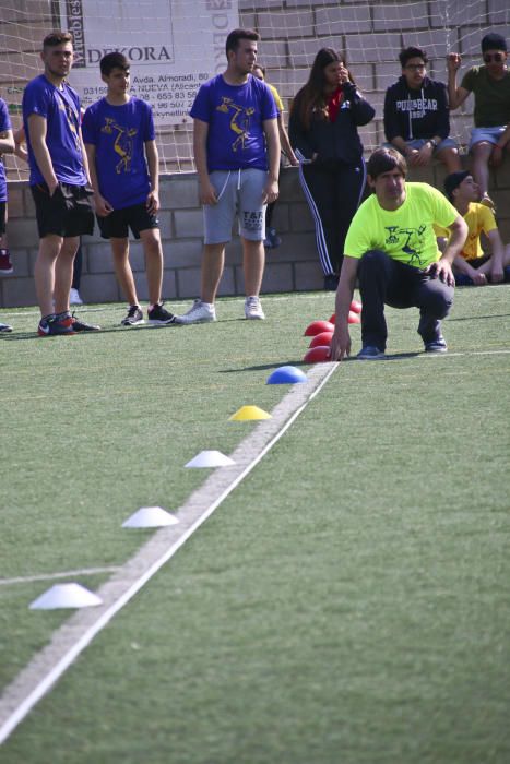 Más de 1.300 estudiantes de las comarcas de la Vega Baja y el Baix Vinalopó participan en la X edición de las Olimpiadas Clásicas.