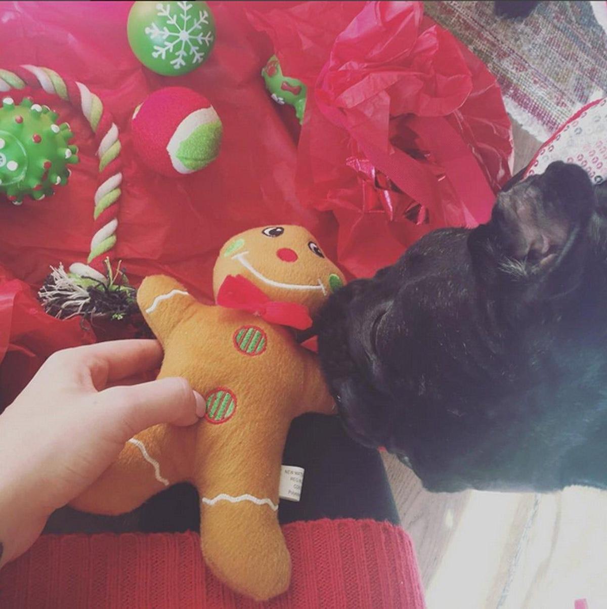 Lady Gaga celebra unas perrunas Navidades