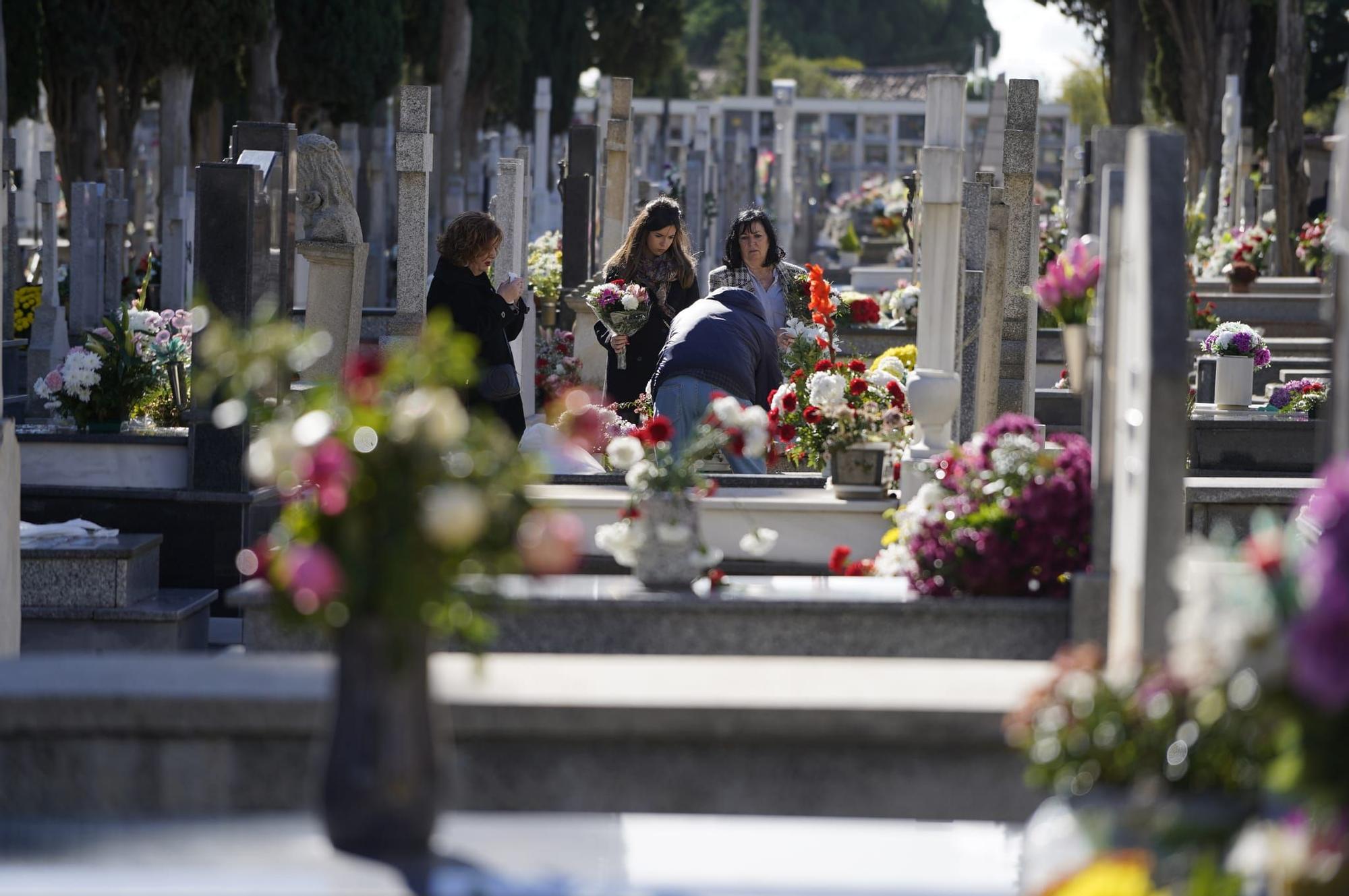 GALERÍA | Las imágenes del Día de Todos los Santos en el cementerio San Atilano de Zamora