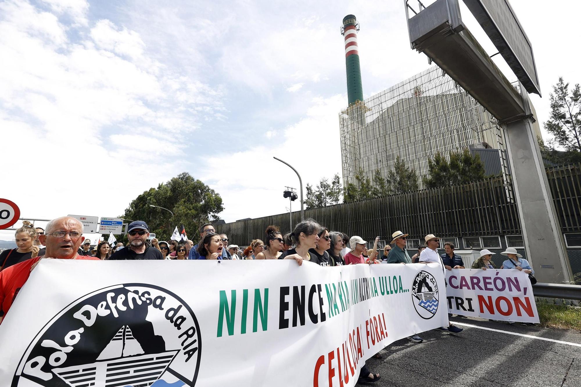 Miles de gallegos marchan de Pontevedra hasta Lourizán en protesta por las celulosas de Ence y Altri