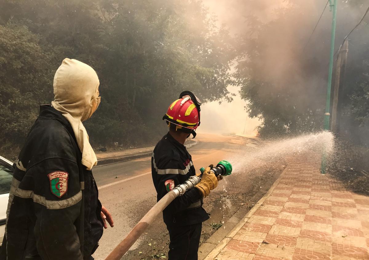 Los bomberos luchan contra los incendios en Argelia.