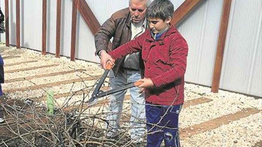 Más de quinientos alumnos participan en la séptima edición del taller de poda