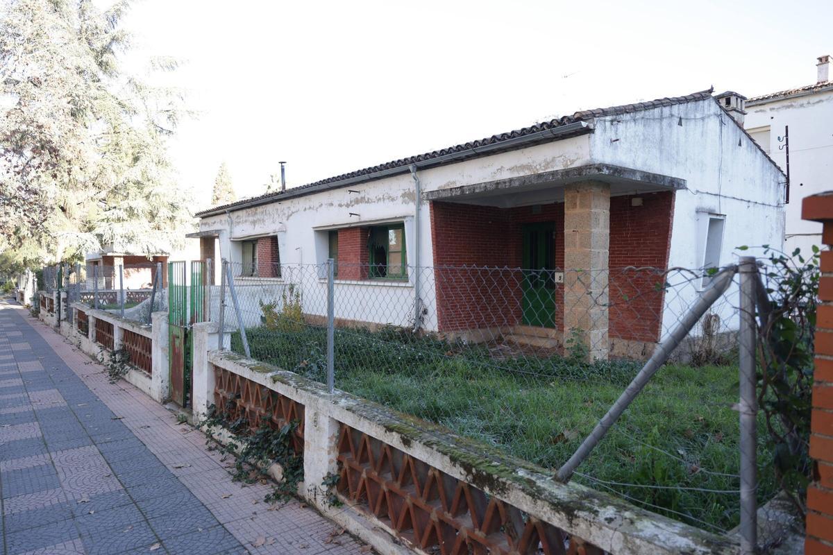 Una colonia felina en Cáceres