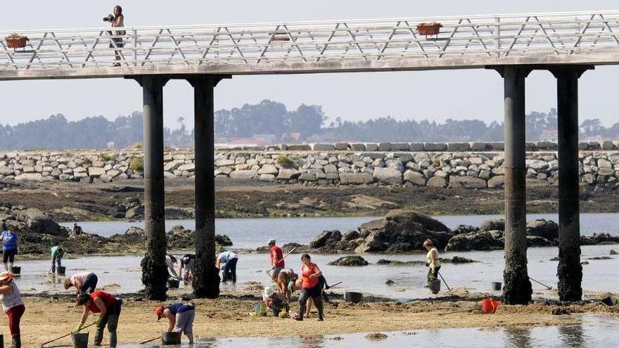 Los ingresos de las mariscadoras se han visto mermados en los últimos años.  // Noé Parga