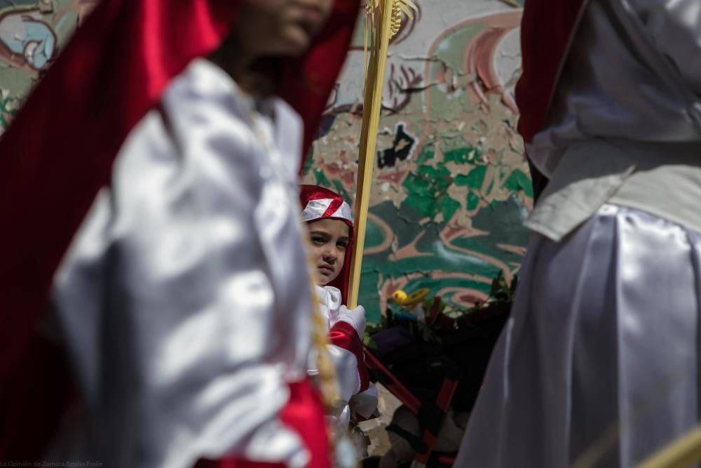 Semana Santa 2018: Procesión de palmas Villaralbo