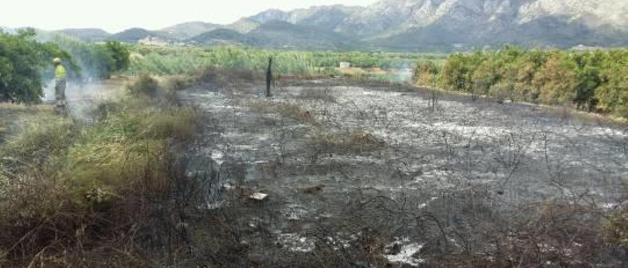 Otro incendio en Benifairó arrasa 3.000 metros y revela el peligro de los cañares