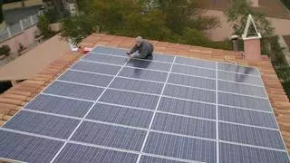 El Consell avala tres parques solares que suman 60.000 paneles en una zona rural de Marratxí