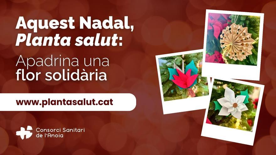 Aquest Nadal, Planta salut: apadrina una flor solidària