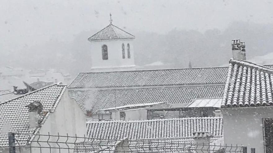 Nieve en Alfarnate.