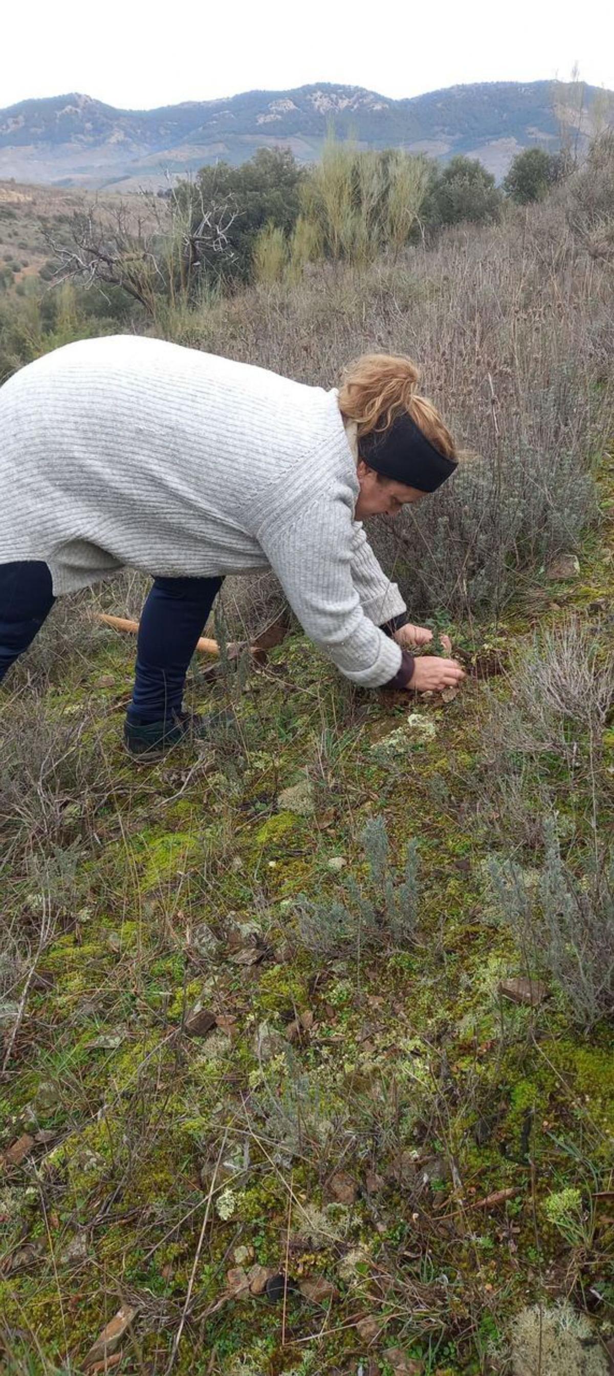 Los vecinos disfrutaron de esta jornada.  | SERVICIO ESPECIAL