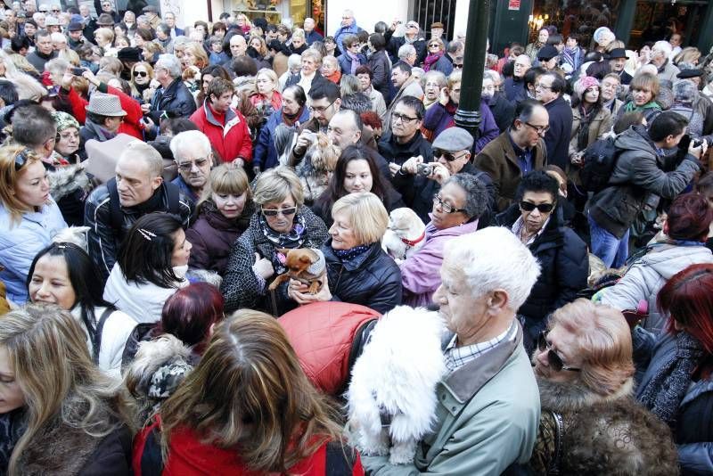 Fotogalería: Fiesta de San Antón