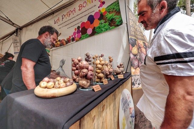 Feria de ganado y procesión por las Fiestas de San Benito en La Laguna, julio 2022