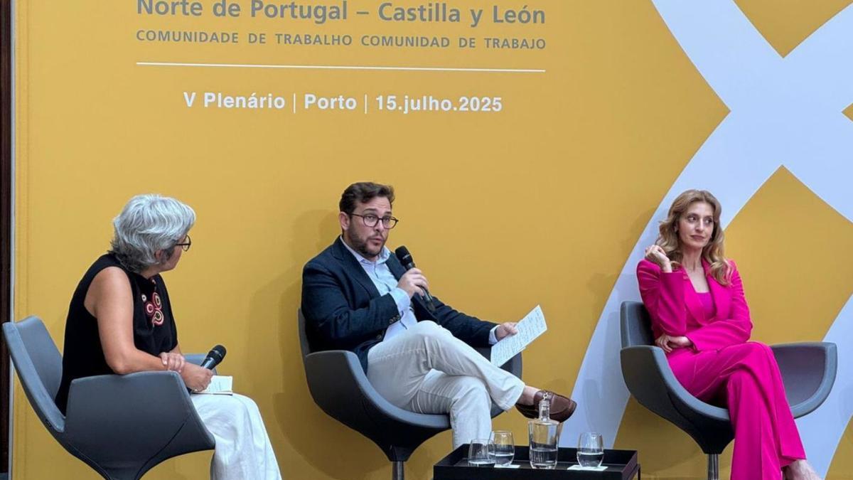 Víctor López de la Parte, durante la ponencia en el V Plenario celebrado en Oporto. | CEDIDA