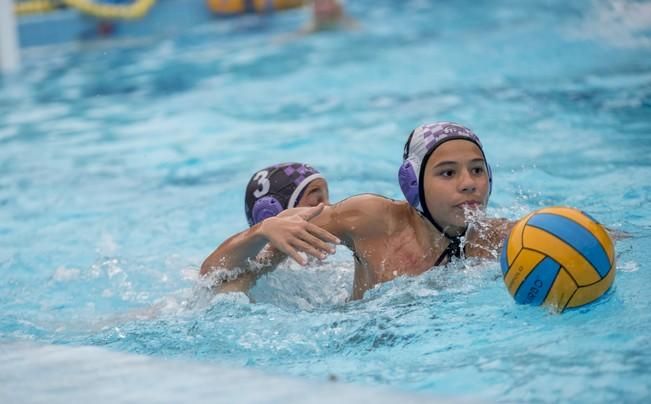 Deporte BASE. Reportaje a la cadena de waterpolo ...