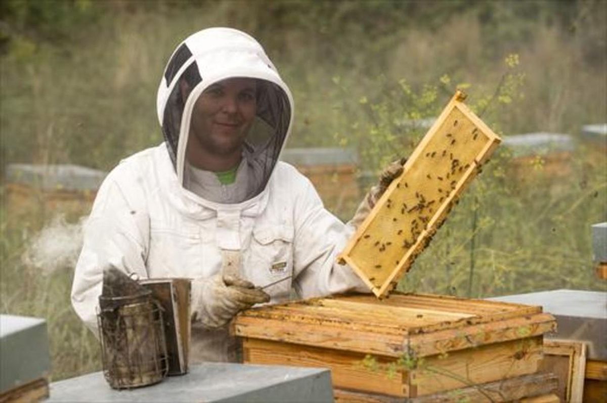 «Le pedía que me pagara con abejas, no con dinero»_MEDIA_1