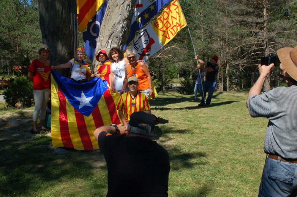 Aplec del Pi de les Tres Branques