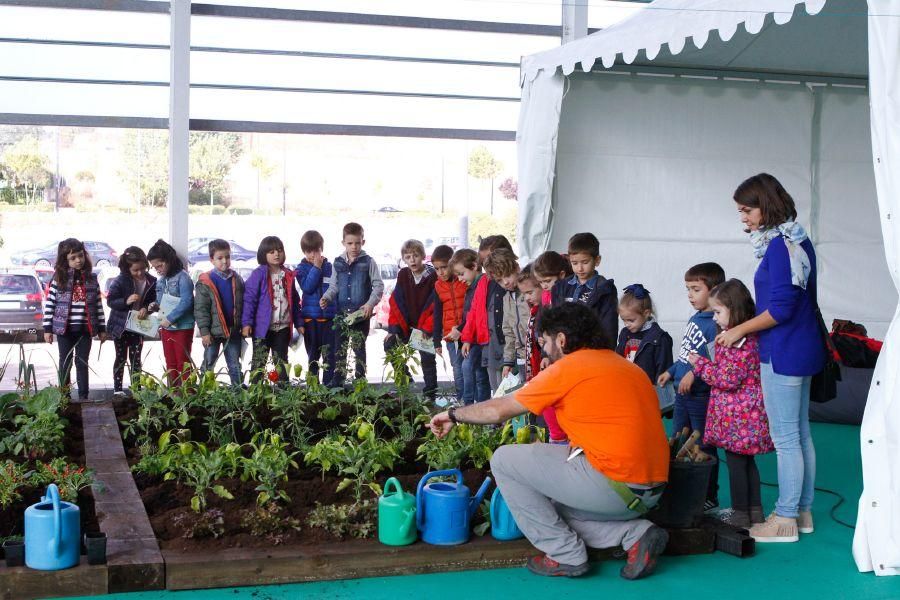 Ecocultura Zamora 2016