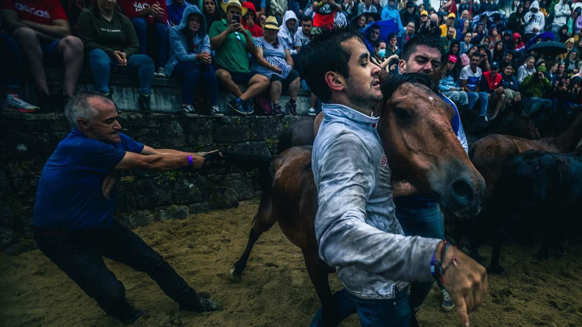 El ser humano trata de doblegar con sus propias manos la voluntad de cientos de caballos salvajes con el fin de cortarle las crines y desparasitarlos.