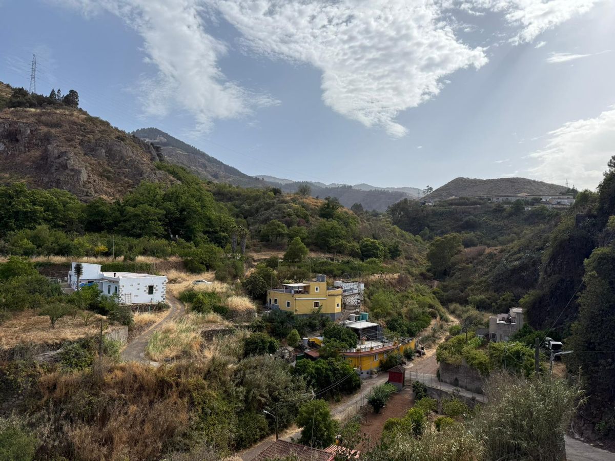 Vistas desde el hogar de Virginia Rodríguez en el barranco El Solapón, en la Vega de San Mateo.