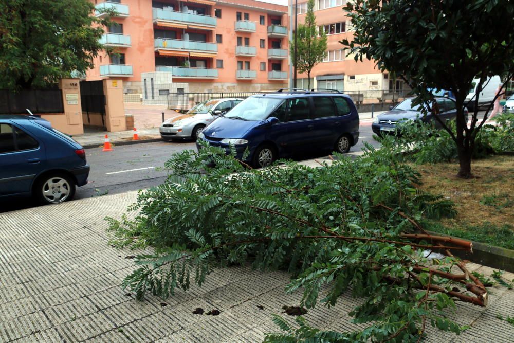 Troncs caiguts a terra i, al fons, el cotxe aixafat per un arbre a la Bisbal