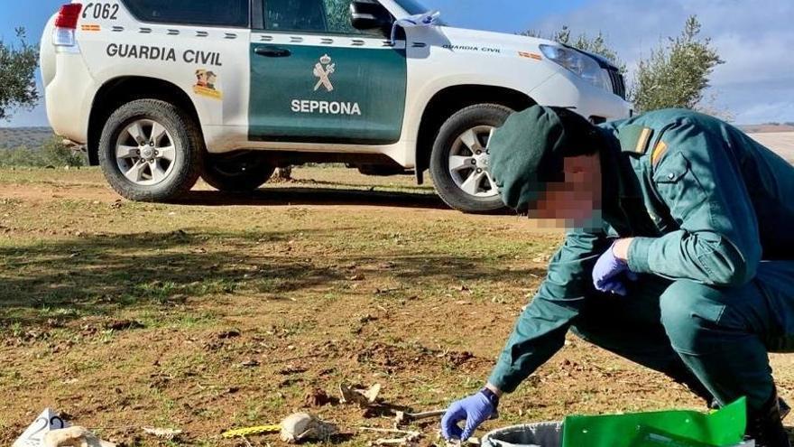 Investigadas doce personas por matar a 46 perros en Ribera del Fresno y Hornachos