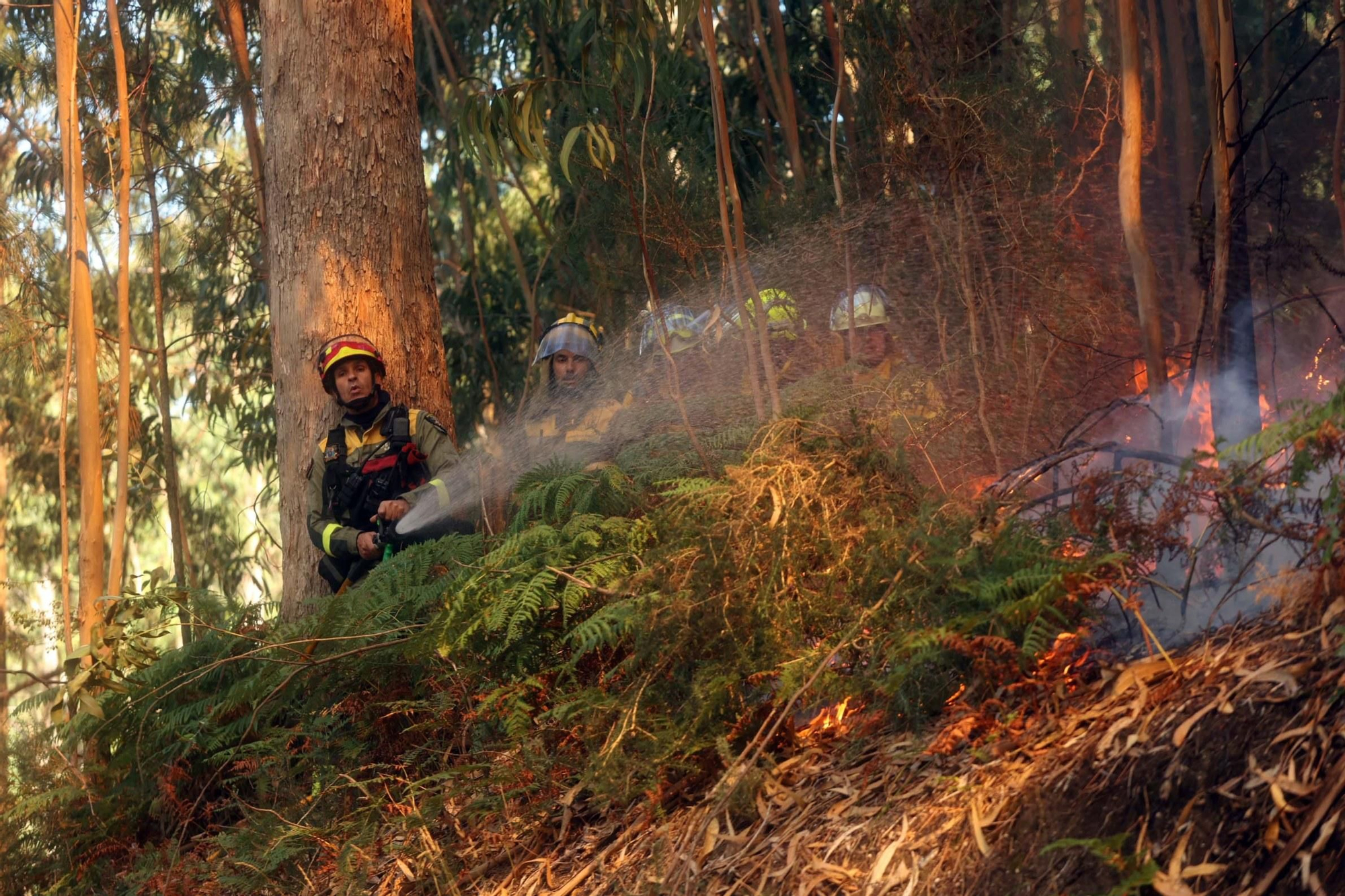 Espectacular incendio forestal en Meaño