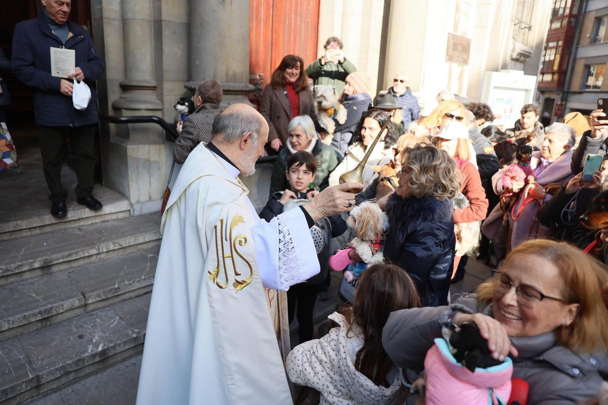 EN IMÁGENES: Oviedo bendice a sus mascotas por San Antón