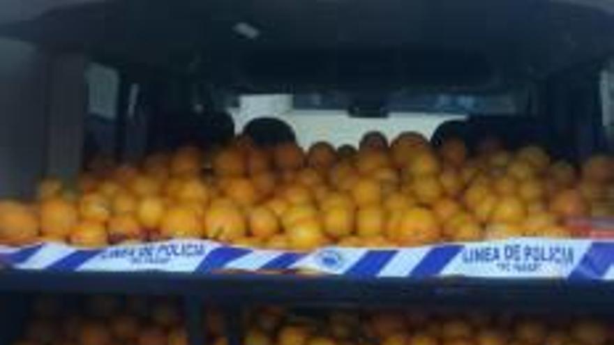 La Policía de Torrent recupera 900 kilos  de naranjas robadas