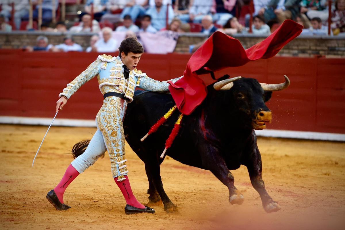 La novillada de Córdoba, en imágenes La novillada de Córdoba, en imágenes