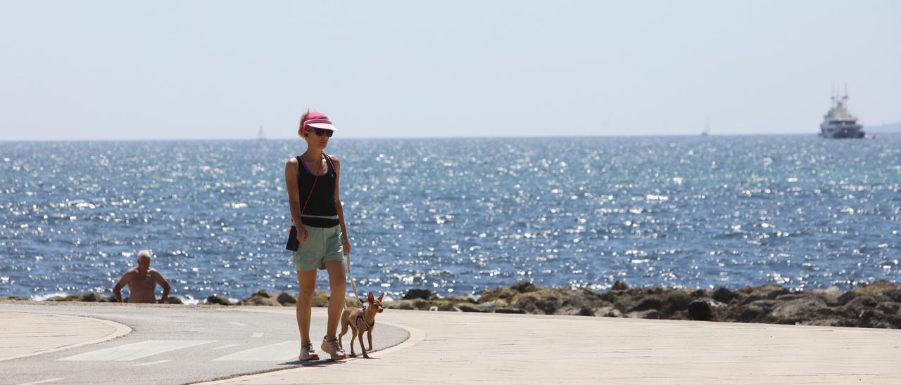 Eine Spaziergängerin an der Promenade des Stadtviertels Molinar in Palma de Mallorca.