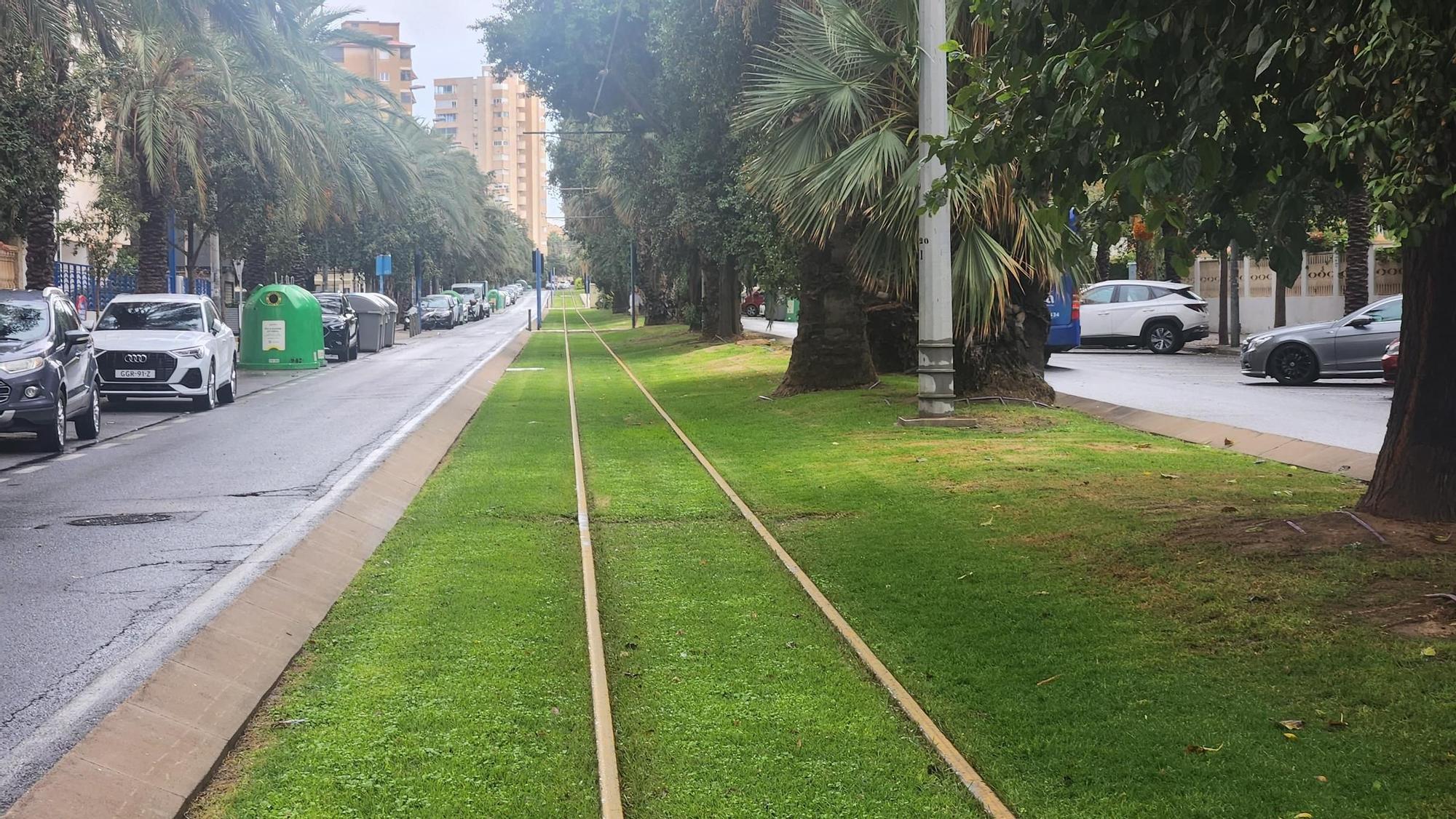 El TRAM sin circulación en Alicante por las lluvias