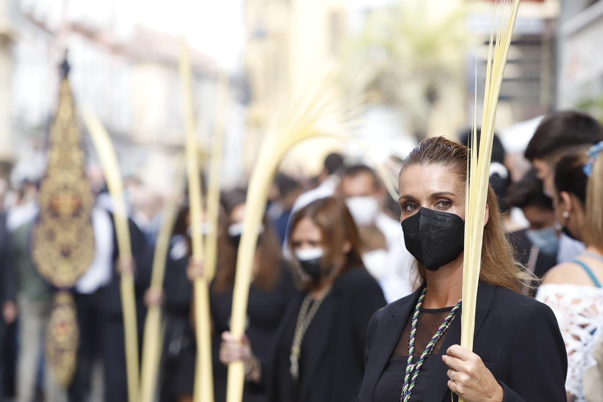 Procesión Magna de Málaga | Pollinica