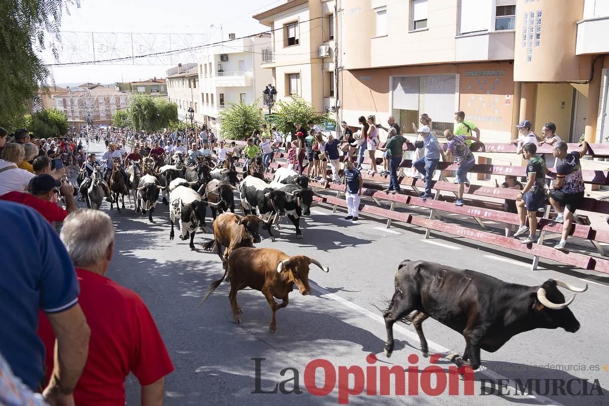 Sexto encierro de las Fiestas de Moratalla