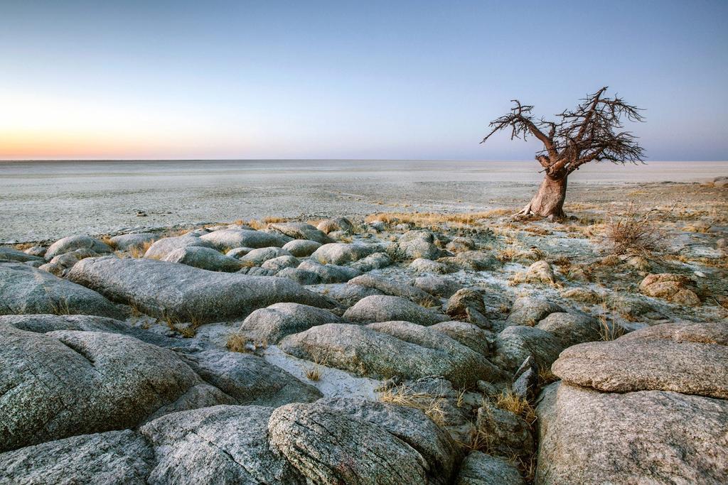 Makgadikgadi Pans, Botswana