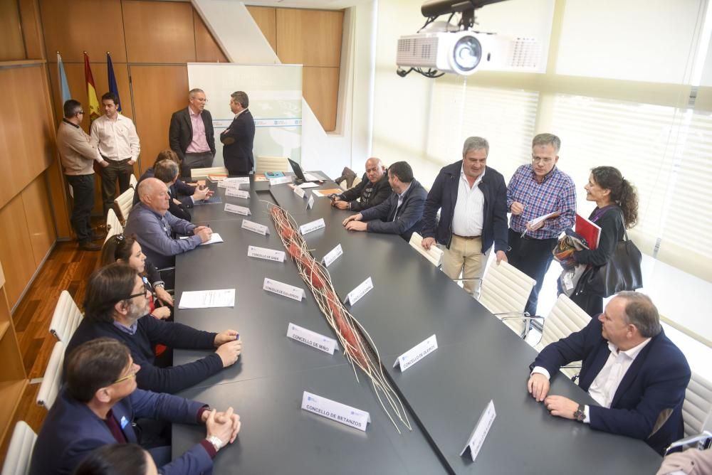 Cuatro alcaldes plantan a la Xunta