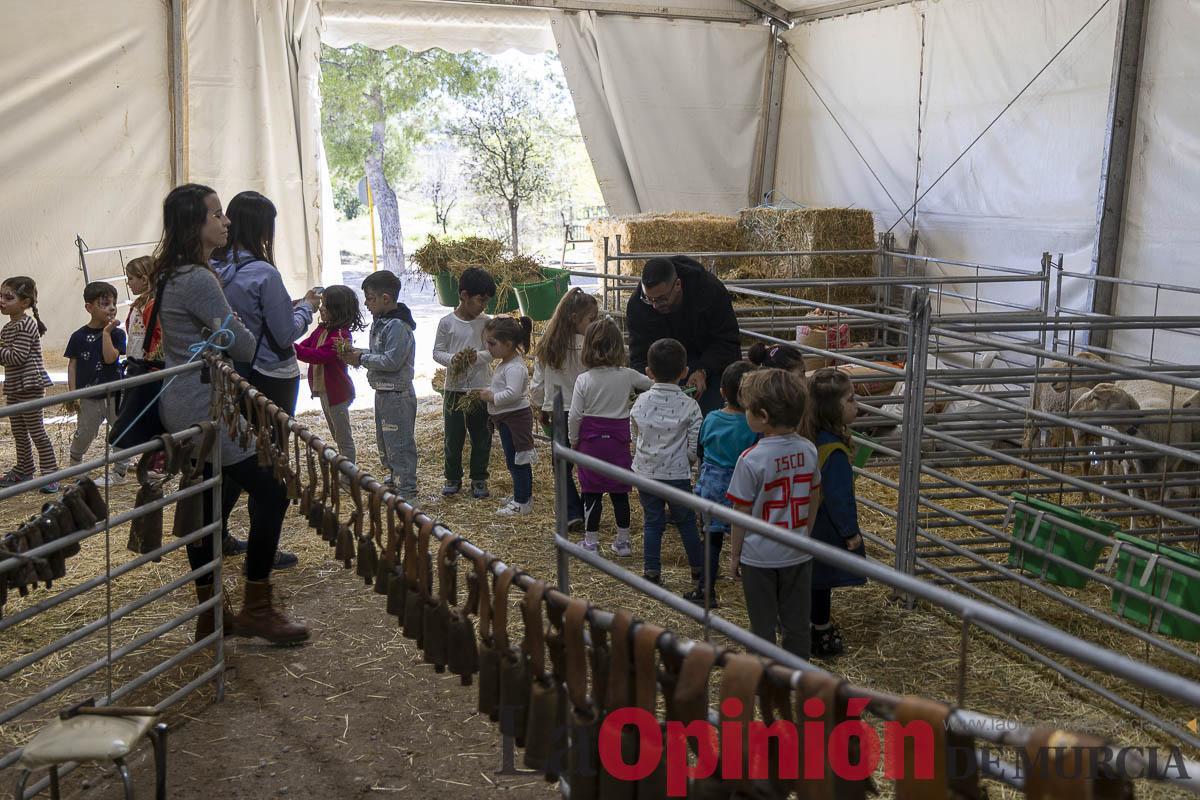 Así se ha vivido la IX Feria del Cordero Segureño celebraba en la pedanía caravaqueña de Archivel