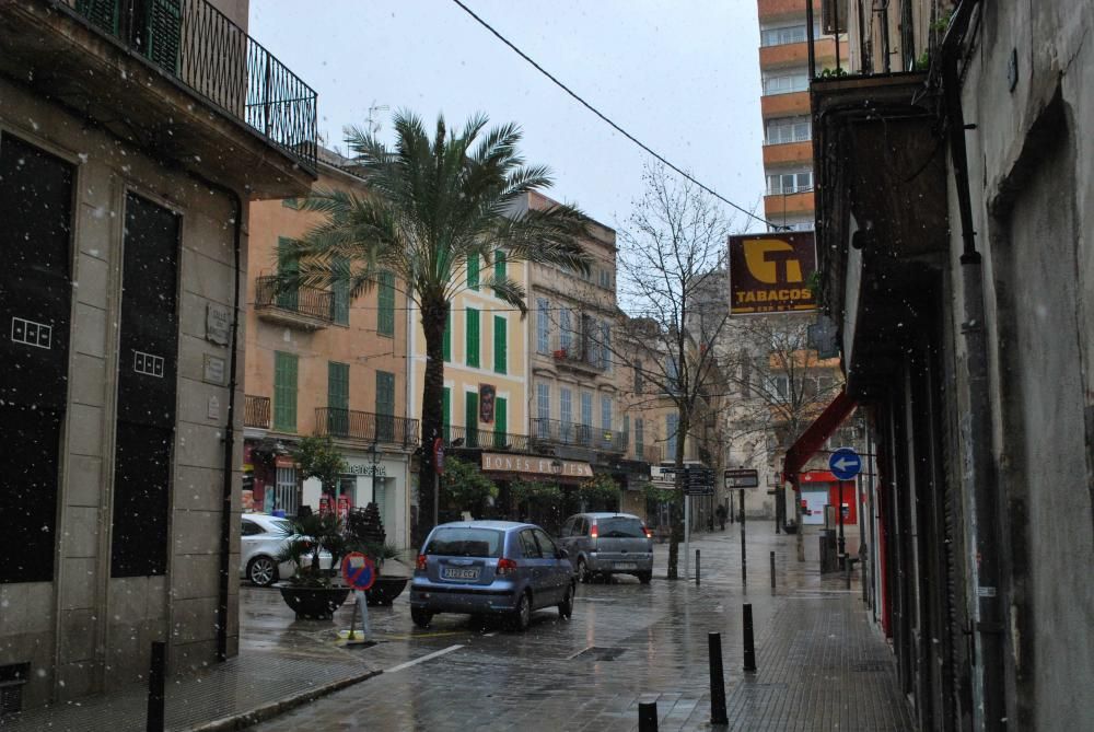 Nieve en Manacor