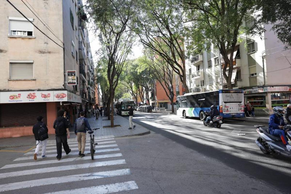 Muchas irregularidades se registran en barrios degradados como Son Gotleu