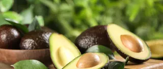 El truco del aguacate para resolver la duda que todo el mundo tiene cuando lo compra
