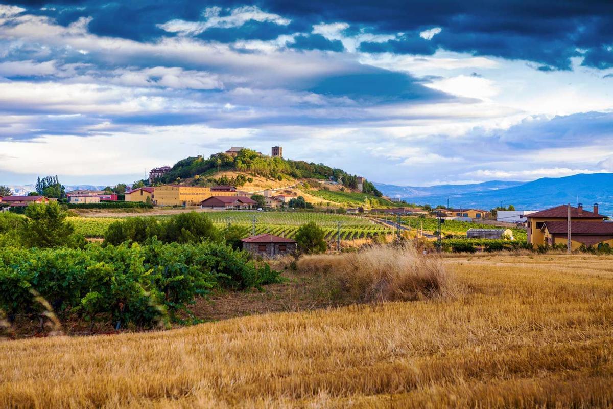 Si vives en Vitoria, escapaté a Laguardia